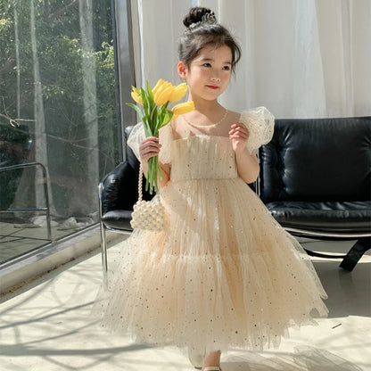 Summer Girls Princess Dress - Tulle Yarn Dress for Kids (Cute Sweet Temperament Style)